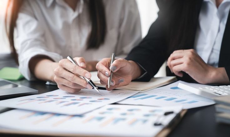 Government Debt Instruments Program