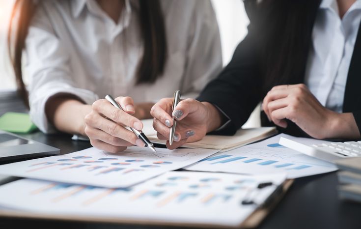 Government Debt Instruments Program