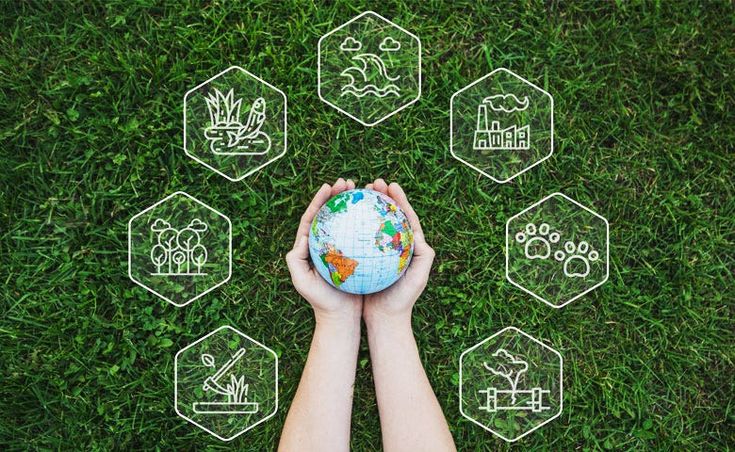 Sustainable insurance